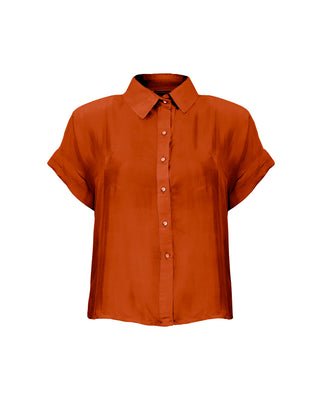 Camisa Seda Manga Corta Lara - Colores Agua y Tierra